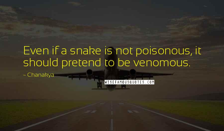 Chanakya Quotes: Even if a snake is not poisonous, it should pretend to be venomous.