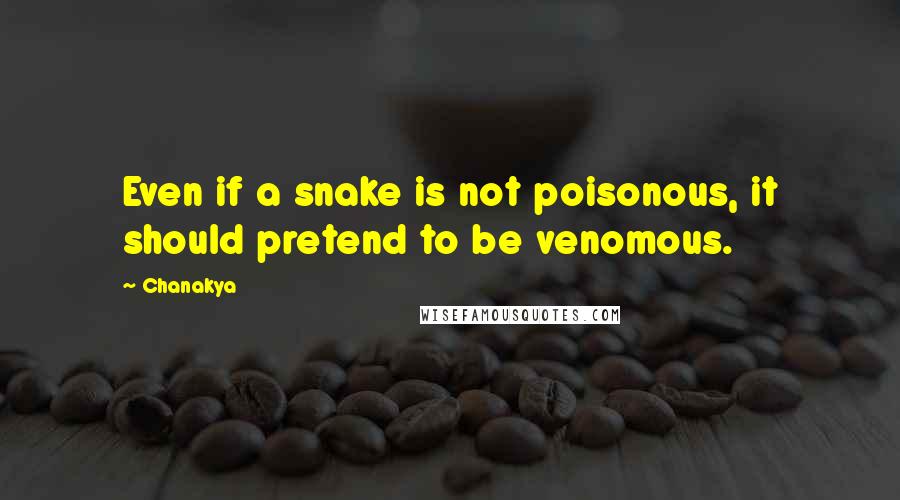 Chanakya Quotes: Even if a snake is not poisonous, it should pretend to be venomous.