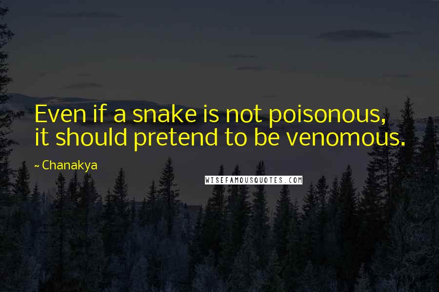 Chanakya Quotes: Even if a snake is not poisonous, it should pretend to be venomous.