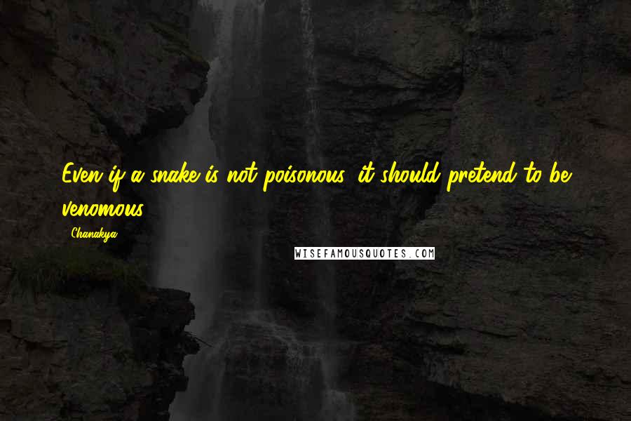 Chanakya Quotes: Even if a snake is not poisonous, it should pretend to be venomous.