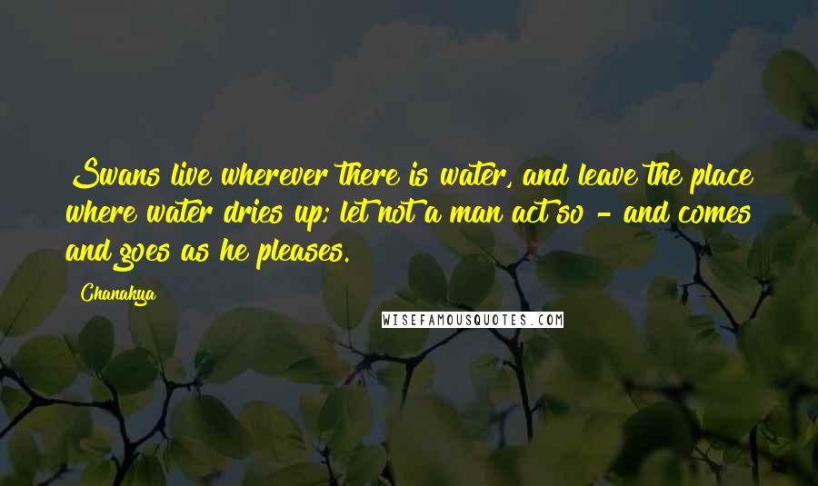 Chanakya Quotes: Swans live wherever there is water, and leave the place where water dries up; let not a man act so - and comes and goes as he pleases.