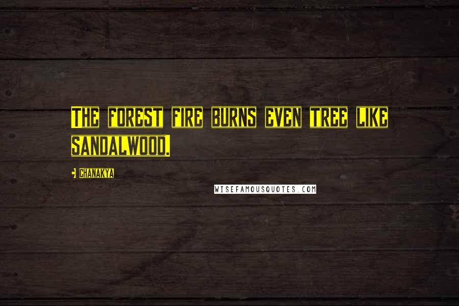 Chanakya Quotes: The forest fire burns even tree like sandalwood.