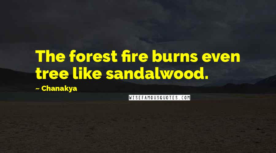 Chanakya Quotes: The forest fire burns even tree like sandalwood.