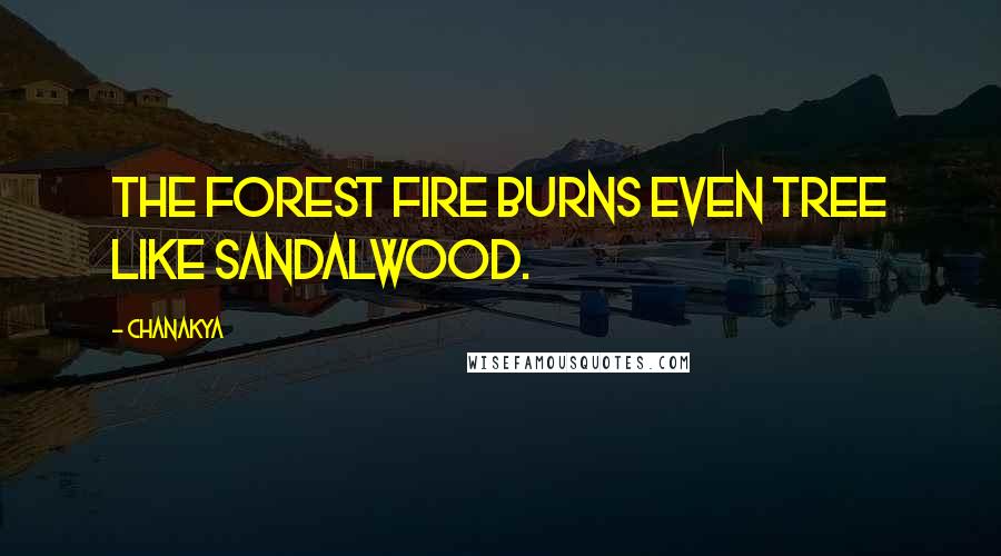 Chanakya Quotes: The forest fire burns even tree like sandalwood.