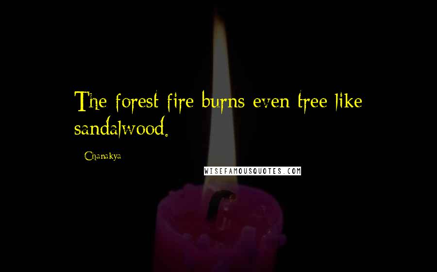 Chanakya Quotes: The forest fire burns even tree like sandalwood.