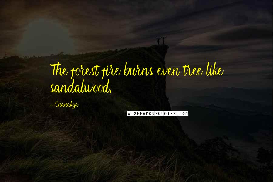 Chanakya Quotes: The forest fire burns even tree like sandalwood.