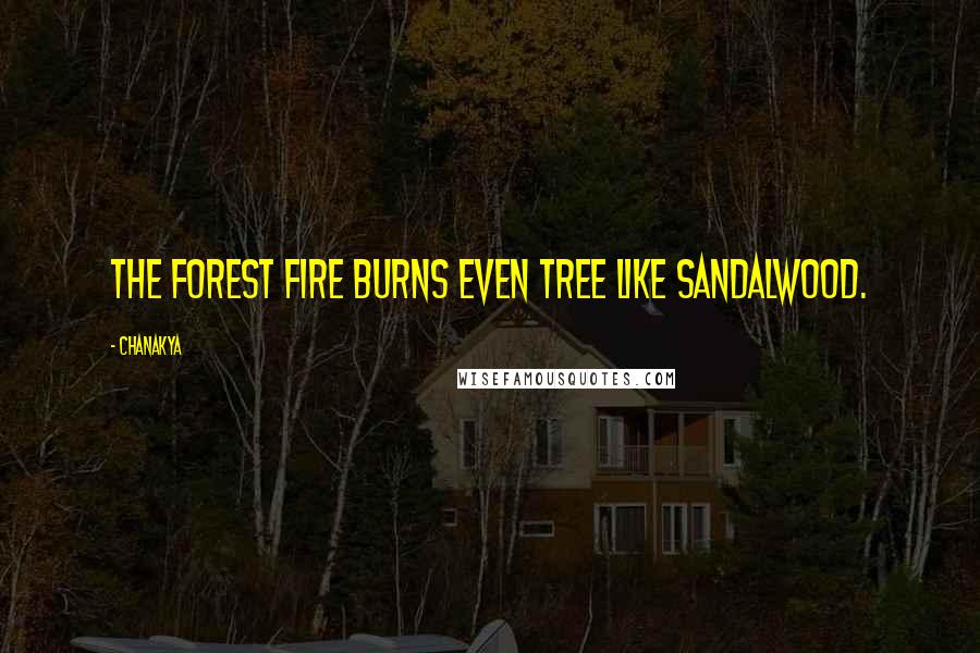 Chanakya Quotes: The forest fire burns even tree like sandalwood.
