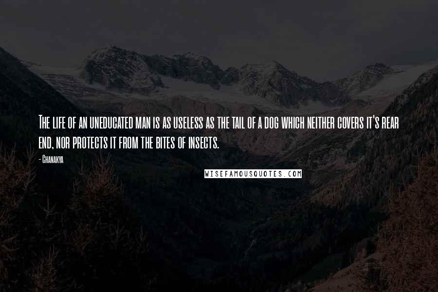 Chanakya Quotes: The life of an uneducated man is as useless as the tail of a dog which neither covers it's rear end, nor protects it from the bites of insects.