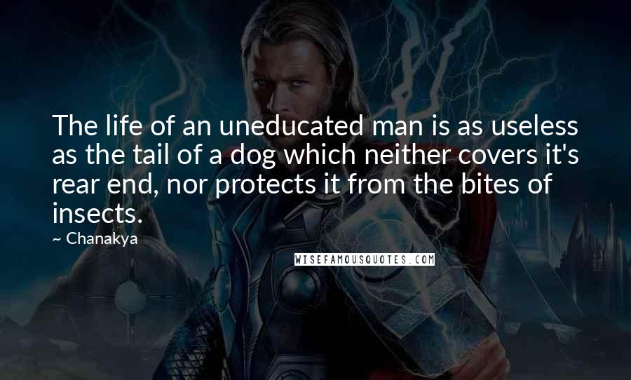 Chanakya Quotes: The life of an uneducated man is as useless as the tail of a dog which neither covers it's rear end, nor protects it from the bites of insects.