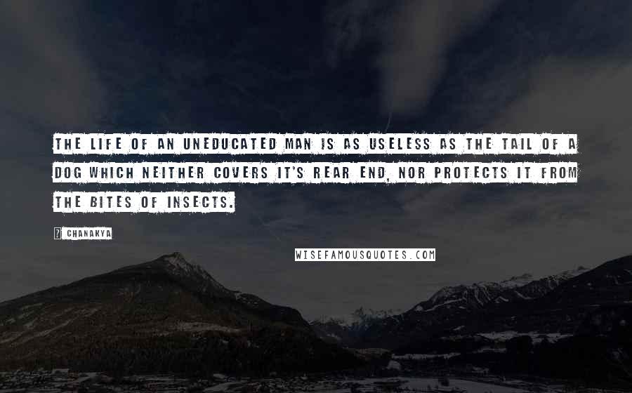 Chanakya Quotes: The life of an uneducated man is as useless as the tail of a dog which neither covers it's rear end, nor protects it from the bites of insects.