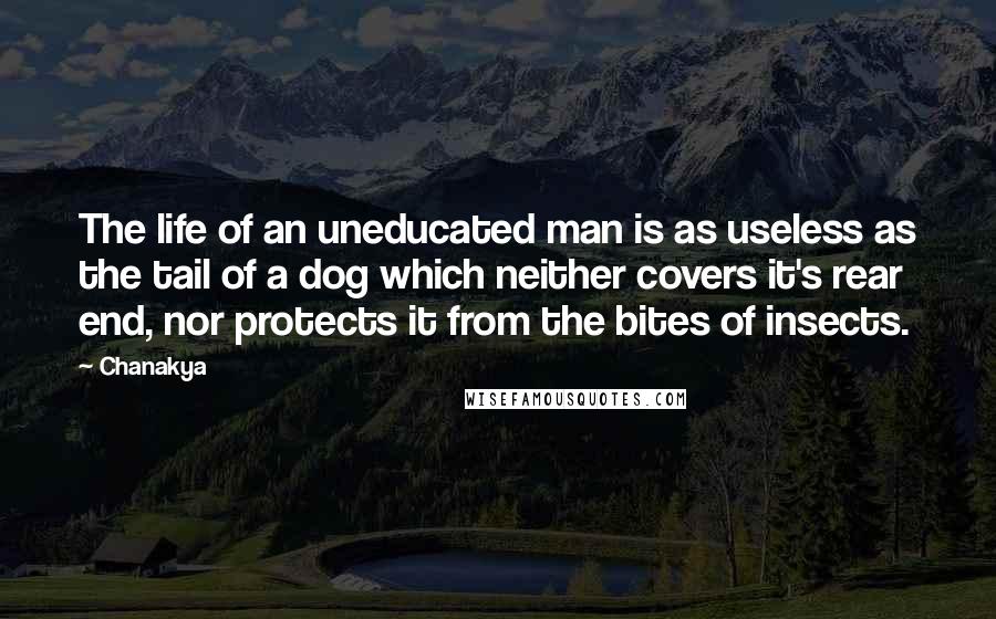 Chanakya Quotes: The life of an uneducated man is as useless as the tail of a dog which neither covers it's rear end, nor protects it from the bites of insects.