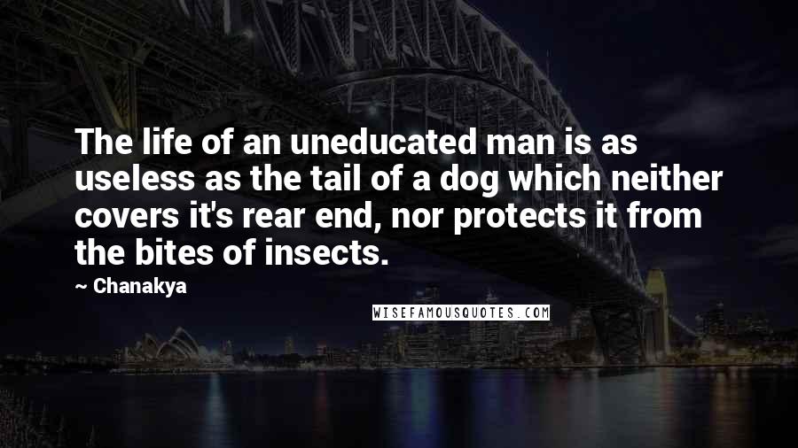 Chanakya Quotes: The life of an uneducated man is as useless as the tail of a dog which neither covers it's rear end, nor protects it from the bites of insects.