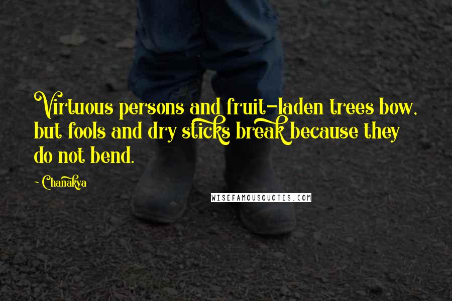 Chanakya Quotes: Virtuous persons and fruit-laden trees bow, but fools and dry sticks break because they do not bend.