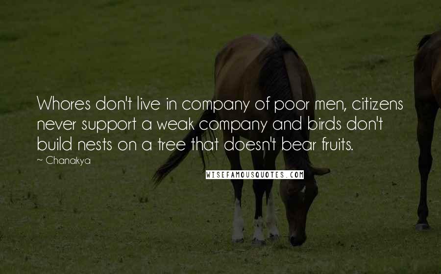 Chanakya Quotes: Whores don't live in company of poor men, citizens never support a weak company and birds don't build nests on a tree that doesn't bear fruits.