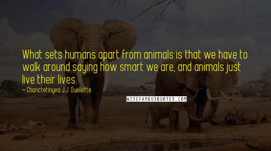 Chanctetinyea J.J. Ouellette Quotes: What sets humans apart from animals is that we have to walk around saying how smart we are, and animals just live their lives.