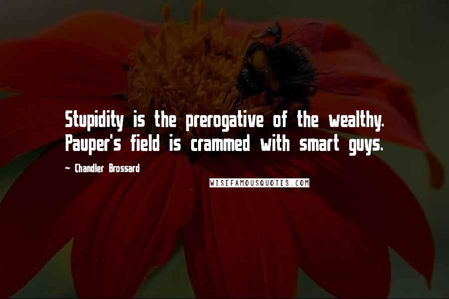 Chandler Brossard Quotes: Stupidity is the prerogative of the wealthy. Pauper's field is crammed with smart guys.