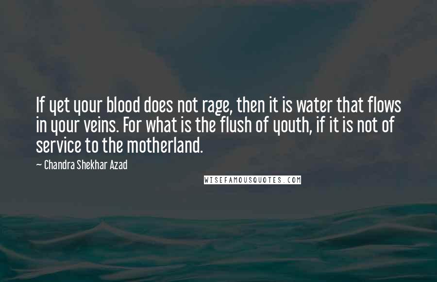 Chandra Shekhar Azad Quotes: If yet your blood does not rage, then it is water that flows in your veins. For what is the flush of youth, if it is not of service to the motherland.