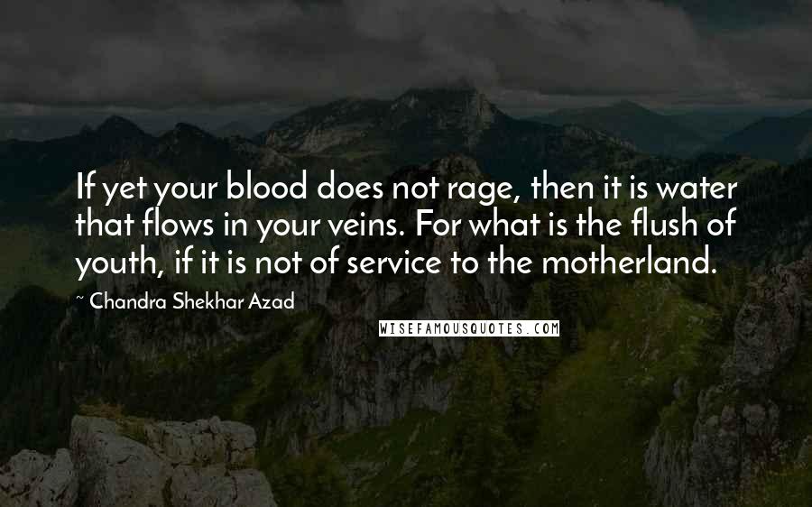 Chandra Shekhar Azad Quotes: If yet your blood does not rage, then it is water that flows in your veins. For what is the flush of youth, if it is not of service to the motherland.