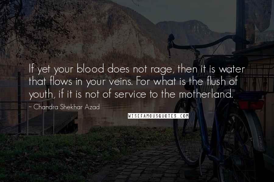 Chandra Shekhar Azad Quotes: If yet your blood does not rage, then it is water that flows in your veins. For what is the flush of youth, if it is not of service to the motherland.