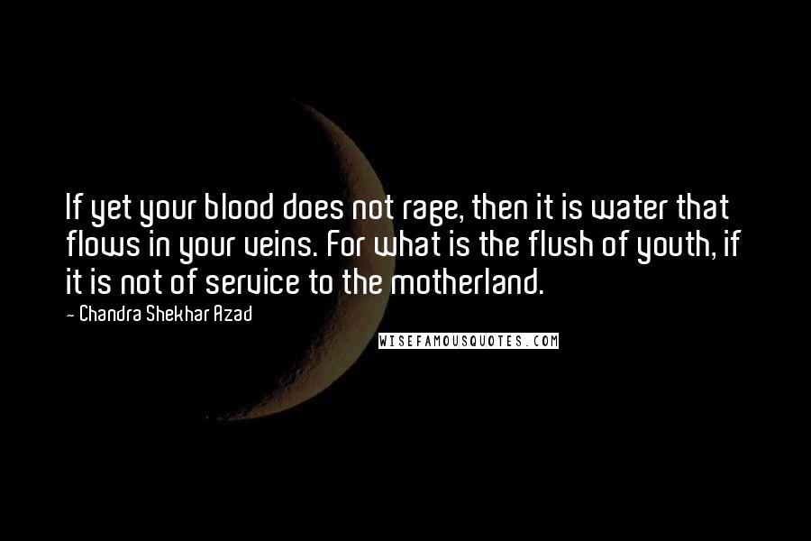 Chandra Shekhar Azad Quotes: If yet your blood does not rage, then it is water that flows in your veins. For what is the flush of youth, if it is not of service to the motherland.