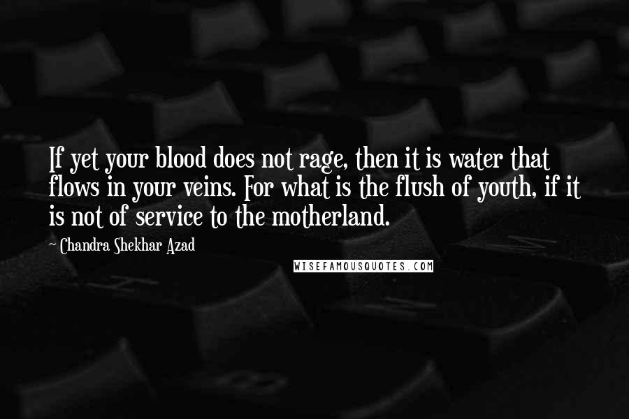 Chandra Shekhar Azad Quotes: If yet your blood does not rage, then it is water that flows in your veins. For what is the flush of youth, if it is not of service to the motherland.