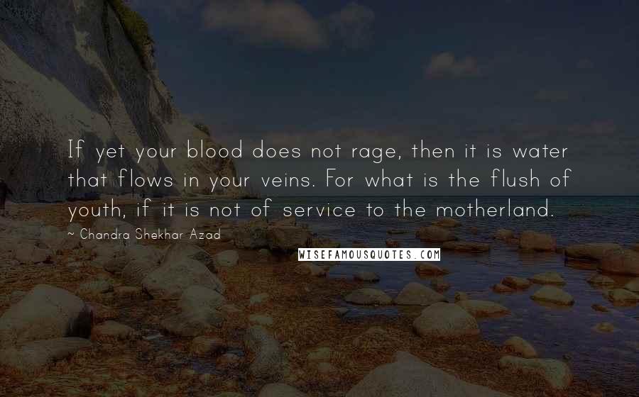 Chandra Shekhar Azad Quotes: If yet your blood does not rage, then it is water that flows in your veins. For what is the flush of youth, if it is not of service to the motherland.