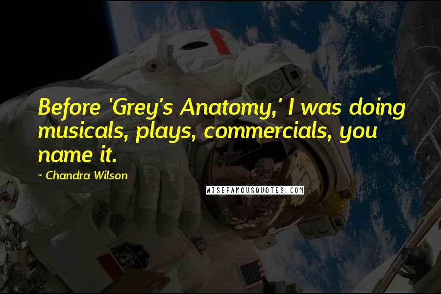 Chandra Wilson Quotes: Before 'Grey's Anatomy,' I was doing musicals, plays, commercials, you name it.