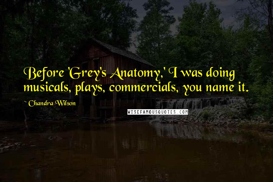 Chandra Wilson Quotes: Before 'Grey's Anatomy,' I was doing musicals, plays, commercials, you name it.