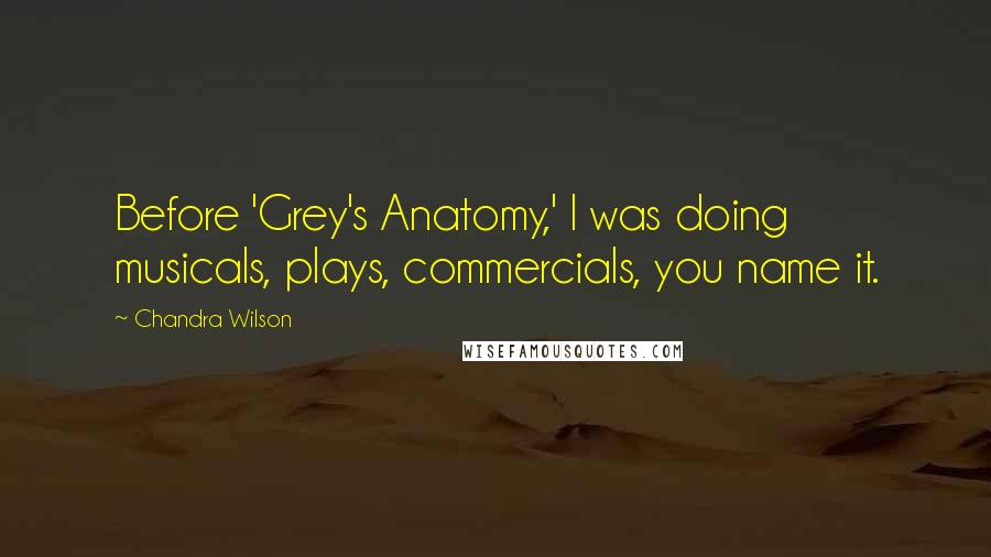 Chandra Wilson Quotes: Before 'Grey's Anatomy,' I was doing musicals, plays, commercials, you name it.