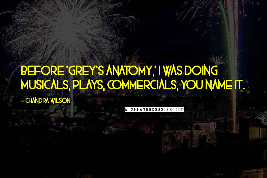 Chandra Wilson Quotes: Before 'Grey's Anatomy,' I was doing musicals, plays, commercials, you name it.