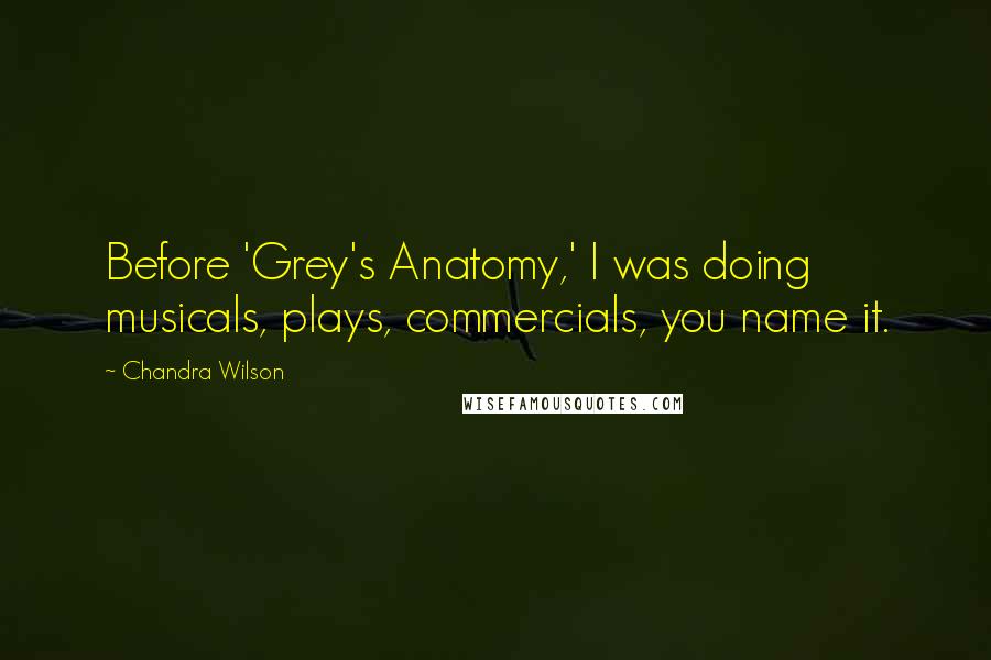 Chandra Wilson Quotes: Before 'Grey's Anatomy,' I was doing musicals, plays, commercials, you name it.