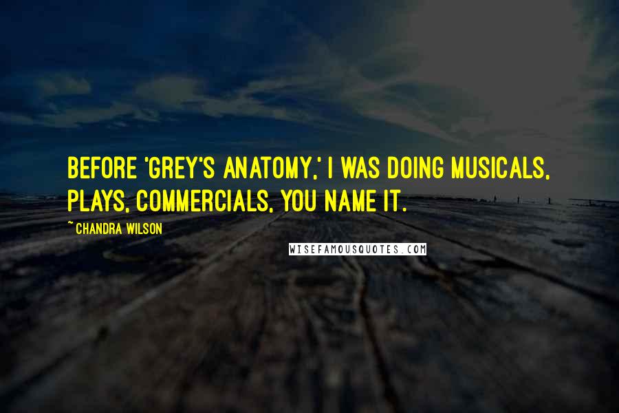 Chandra Wilson Quotes: Before 'Grey's Anatomy,' I was doing musicals, plays, commercials, you name it.