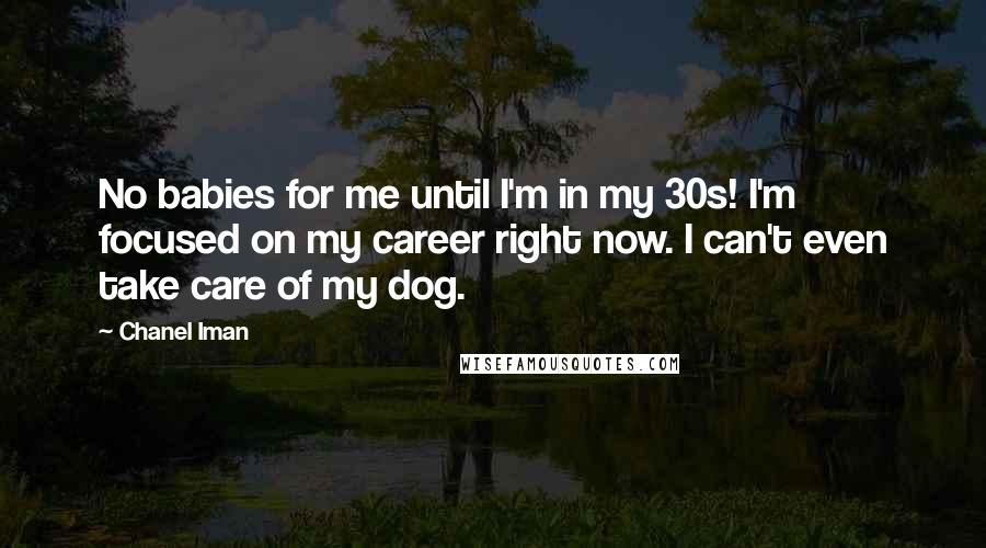 Chanel Iman Quotes: No babies for me until I'm in my 30s! I'm focused on my career right now. I can't even take care of my dog.