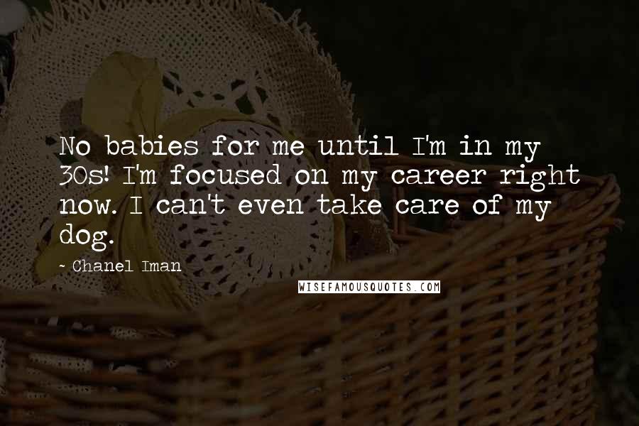 Chanel Iman Quotes: No babies for me until I'm in my 30s! I'm focused on my career right now. I can't even take care of my dog.