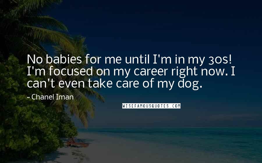 Chanel Iman Quotes: No babies for me until I'm in my 30s! I'm focused on my career right now. I can't even take care of my dog.