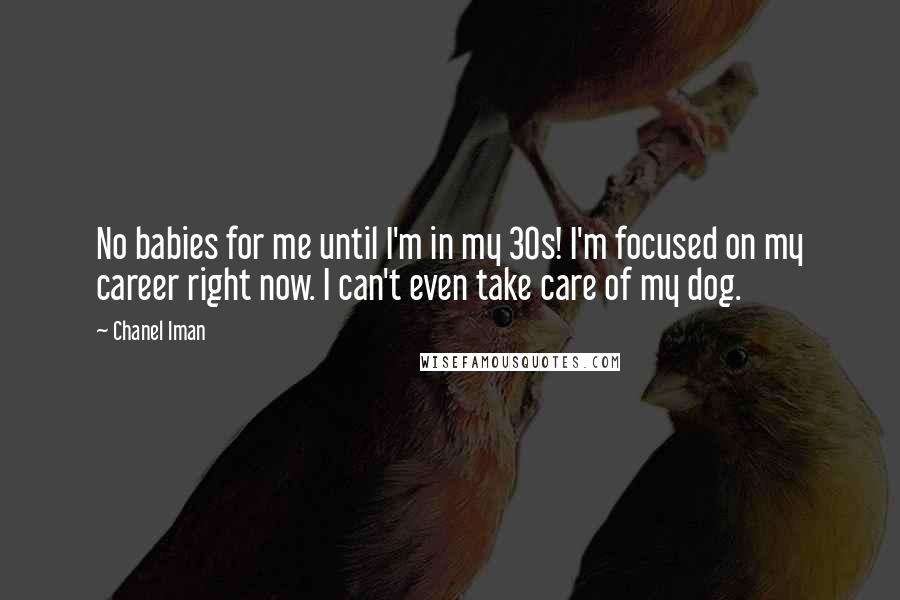 Chanel Iman Quotes: No babies for me until I'm in my 30s! I'm focused on my career right now. I can't even take care of my dog.