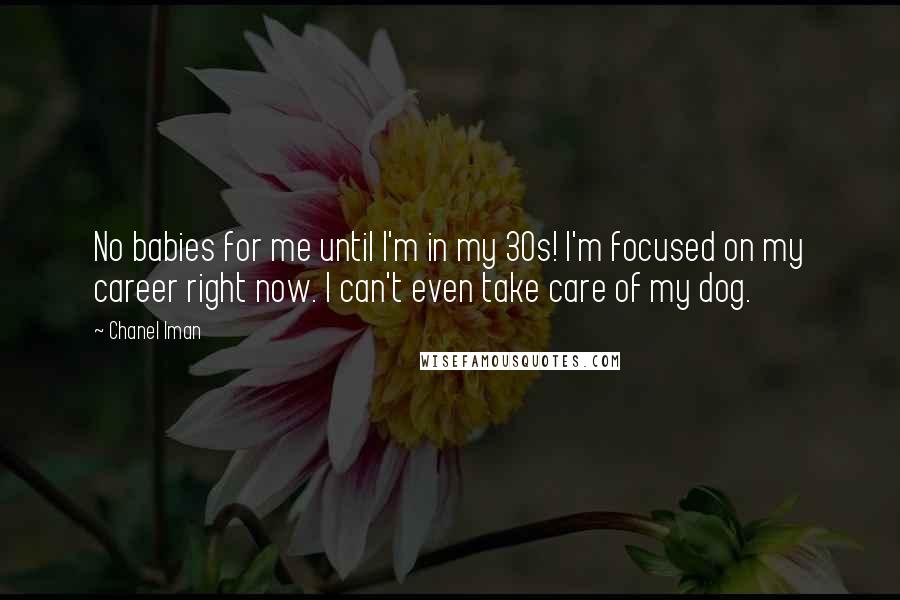 Chanel Iman Quotes: No babies for me until I'm in my 30s! I'm focused on my career right now. I can't even take care of my dog.