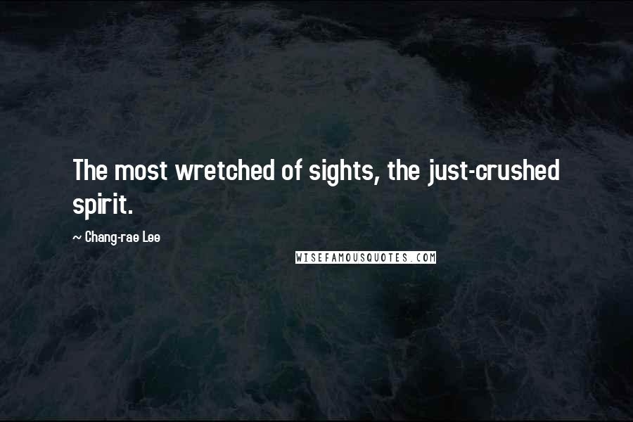 Chang-rae Lee Quotes: The most wretched of sights, the just-crushed spirit.