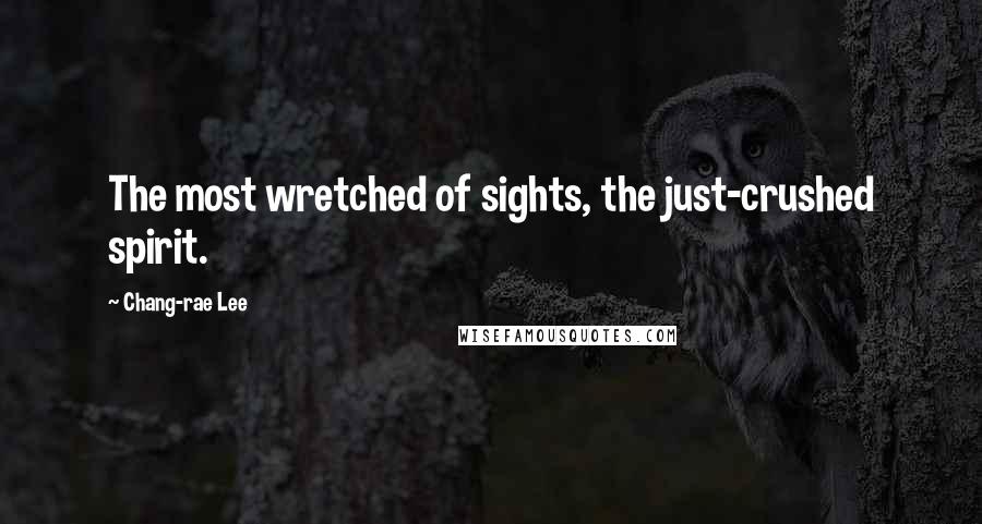 Chang-rae Lee Quotes: The most wretched of sights, the just-crushed spirit.