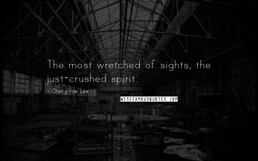 Chang-rae Lee Quotes: The most wretched of sights, the just-crushed spirit.