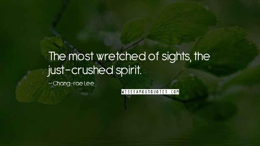 Chang-rae Lee Quotes: The most wretched of sights, the just-crushed spirit.