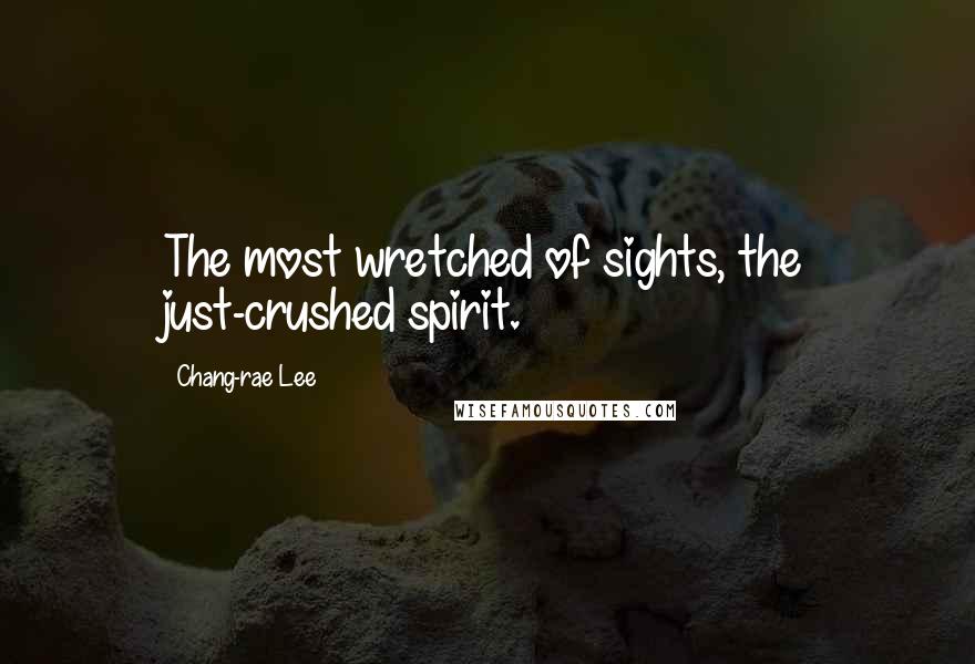 Chang-rae Lee Quotes: The most wretched of sights, the just-crushed spirit.