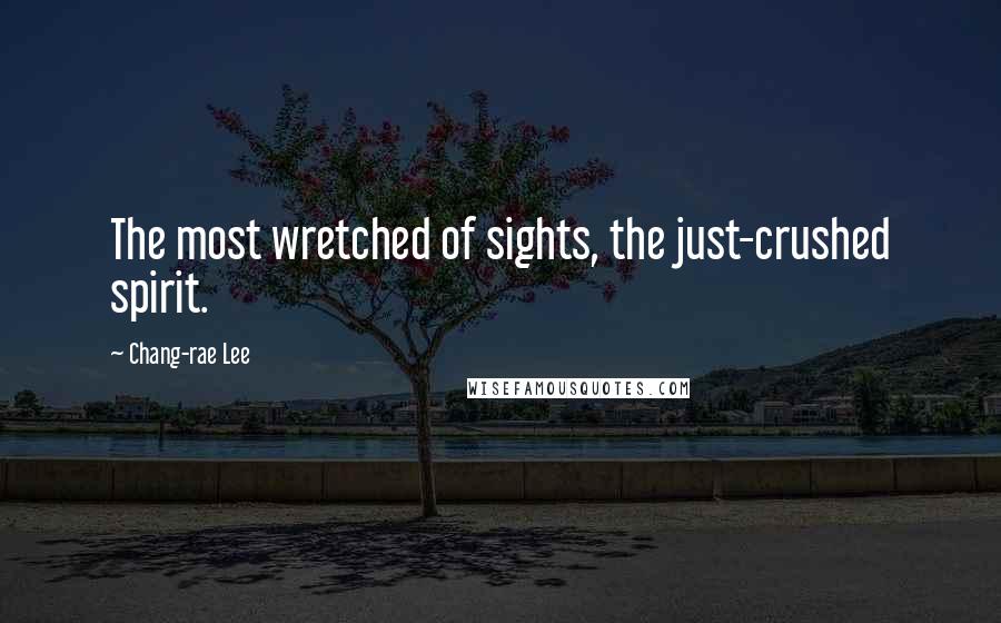 Chang-rae Lee Quotes: The most wretched of sights, the just-crushed spirit.