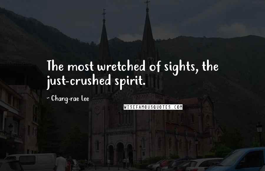 Chang-rae Lee Quotes: The most wretched of sights, the just-crushed spirit.