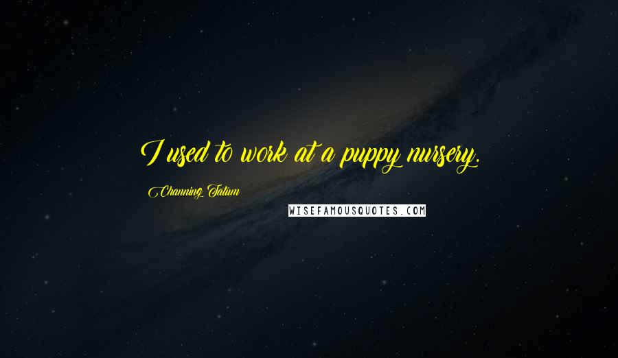 Channing Tatum Quotes: I used to work at a puppy nursery.