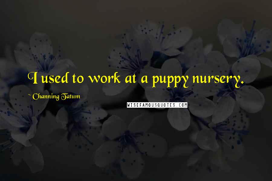 Channing Tatum Quotes: I used to work at a puppy nursery.