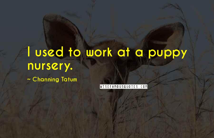 Channing Tatum Quotes: I used to work at a puppy nursery.