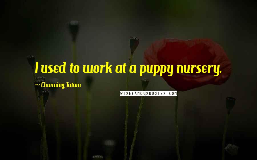 Channing Tatum Quotes: I used to work at a puppy nursery.