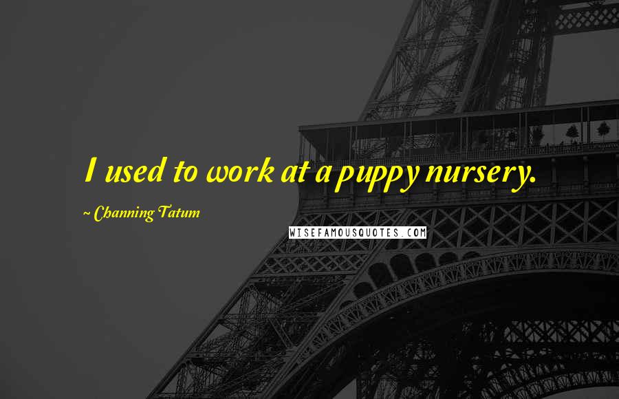 Channing Tatum Quotes: I used to work at a puppy nursery.