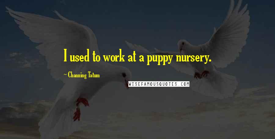 Channing Tatum Quotes: I used to work at a puppy nursery.